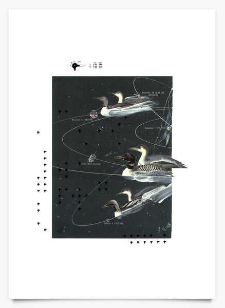 Cosmic Ducks - Art Print by Beto Shibata | Another Fine Mess