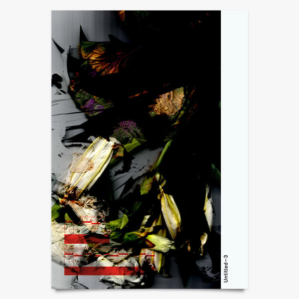 Untitled 3 - Art Print by Michael C Place | Another Fine Mess